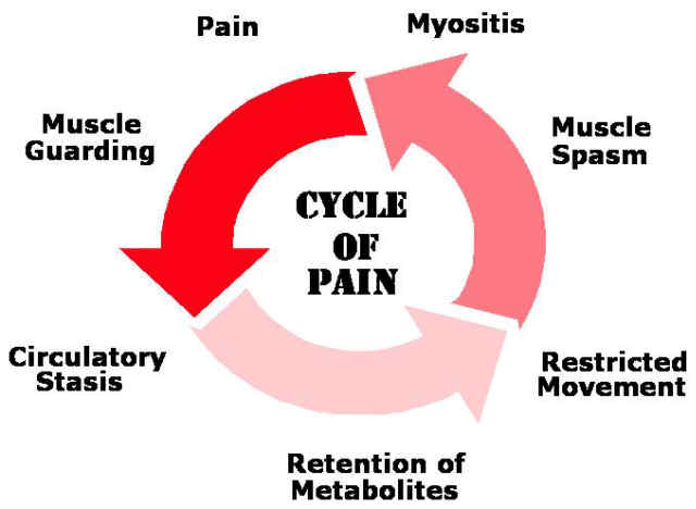 Cycle of Pain - 3.jpg